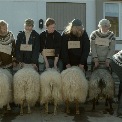 Rams / Hrútar (original title)  Cannes Certain Regard 2015 winner – Movie Review by Anne Brodie