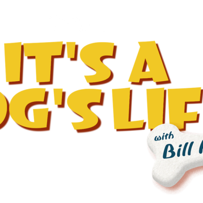 Bill Farmer, Disney’s Voice of Goofy and Pluto Says It’s a Dog’s Life.