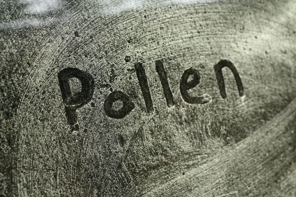 pollen can bring on an allergic reaction