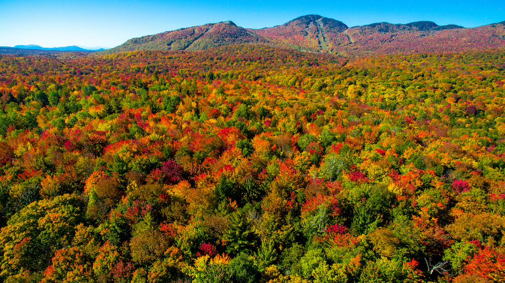 eastern townships in the fall - colour explosion
