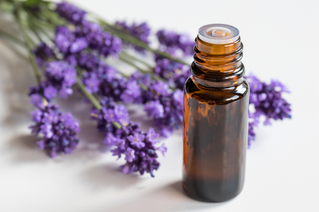 holiday wellness strategies essential oils
