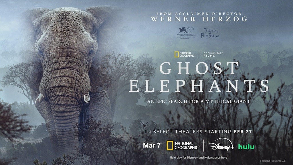 Ghost Elephants documentary review