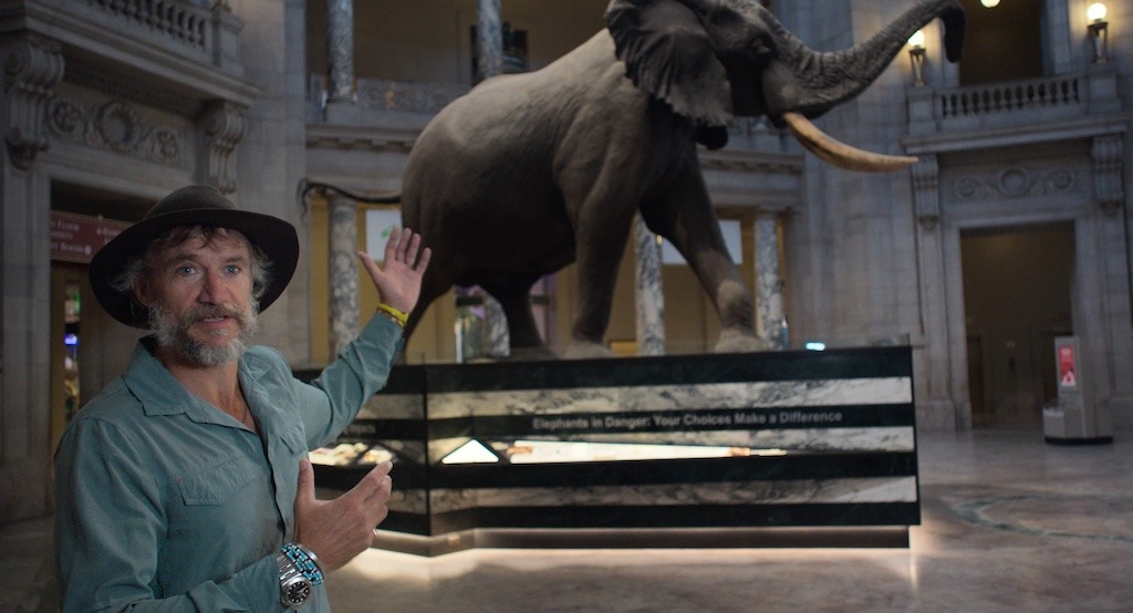 Ghost Elephants documentary review