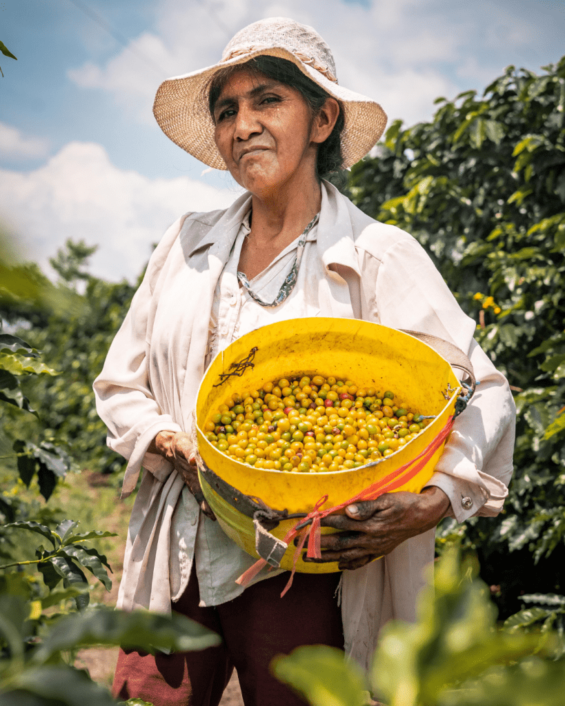 A woman coffee grower stands in a field holding beans